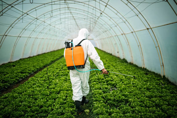 Professional Pest Control in Sky Lake, FL