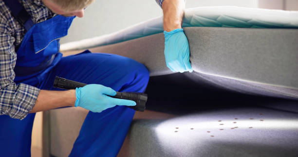 Best Residential Pest Control  in Sky Lake, FL