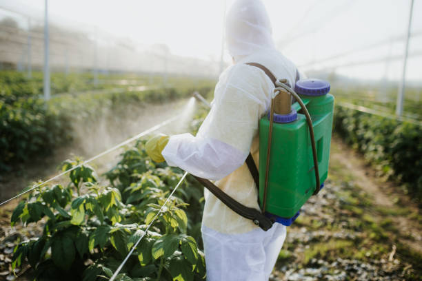 Best Best Pest Control Companies  in Sky Lake, FL